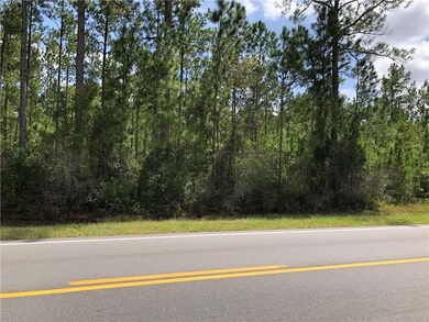 T29 Hwy 121 Hwy, Folkston, GA 31537 - photo 3