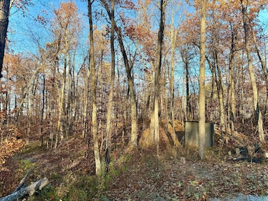 TBD NW Turtle Ln, Walker, MN 56484 - photo 6