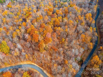 Lot 2110 Harm Creek Loop, Mill Spring, NC 28756 - photo 5