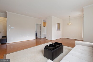 11924 Darnestown Rd, Gaithersburg, MD 20878 - photo 3