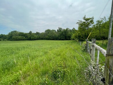 TBD E Side N White River Rd, Campbellsburg, IN 47108 - photo 6