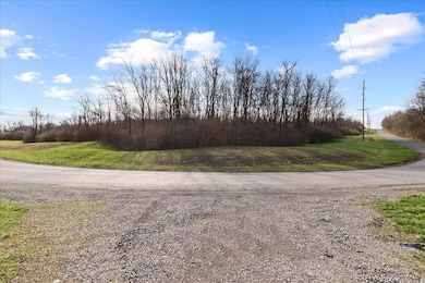 5621 Cox Rd, North Lewisburg, OH 43060 - photo 4