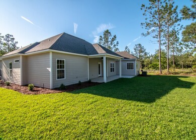 Back Yard w/ Back Porch