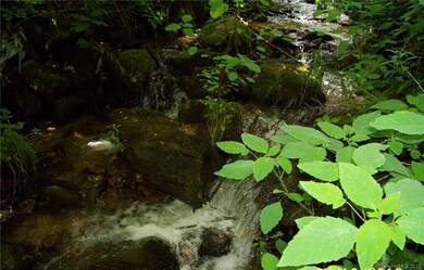 0 Patsy Creek Rd unit 3425310, Burnsville, NC 28714 - photo 3