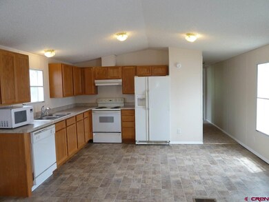0 NW 2nd St unit 732475, Cedaredge, CO 81413 - photo 3