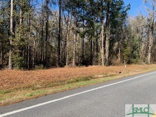 1622 Harris Trail Rd, Richmond Hill, GA 31324 - photo 2