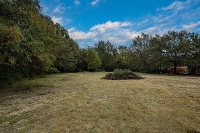 252 Vz County Road 1502, van, TX 75790 - photo 7