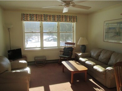 28 Packards Rd unit 331, Waterville Valley, NH 03215 - photo 3