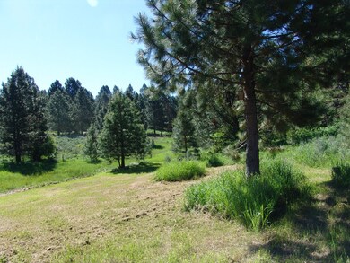 Combination of Meadow & Trees.