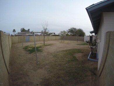 Backyard 2