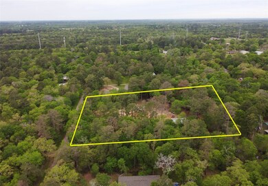 25590 Brushy Creek Dr, Hockley, TX 77447 - photo 7