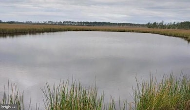 3241 Robbins Rd, Crapo, MD 21626 - photo 4