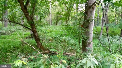 0 River Rd unit 1002277446, Sharpsburg, MD 21782 - photo 3