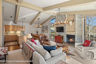 855 Carriage Way unit Slope 303, Snowmass Village, CO 81615 - photo 5