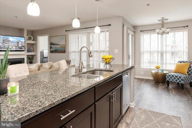 503 Mathias Hammond Way unit 203, Annapolis, MD 21401 - photo 6