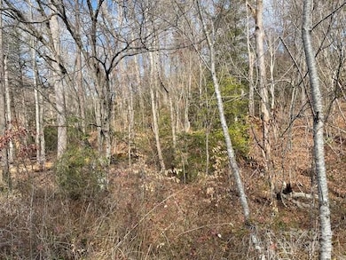 Off Highway 70 E, Old Fort, NC 28762 - photo 2