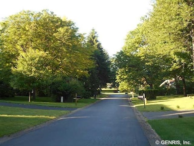Other Tree lined views of Executive Homes - well m