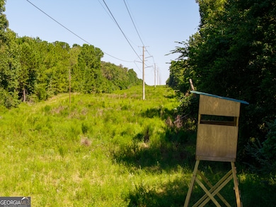 0 Americus Hwy unit 10490217, Rupert, GA 31081 - photo 6