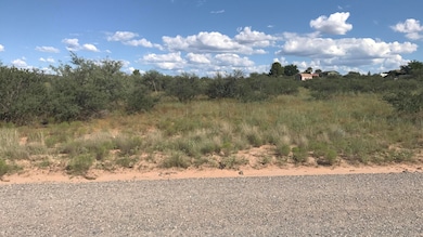 unlisted-address, Cornville, AZ 86325 - photo 4