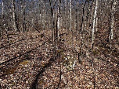 IMG_9013 (1)