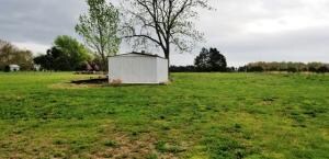 1817 Rains Rd, Harrison, AR 72601 - photo 4