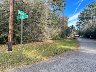 0 W Lakelane unit 76052510, Houston, TX 77338 - photo 2