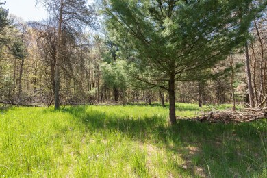 V/L Par 2 Algoma Ave NE, Cedar Springs, MI 49319 - photo 4