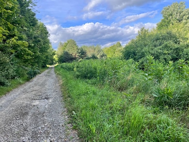 0 Greenbush Rd unit Held - 12 11557762, Erin, NY 14838 - photo 2