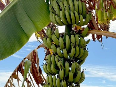 17 Larkspur, Palmetto, FL 34221 - photo 2