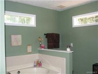 A view of the high windows that let natural light 