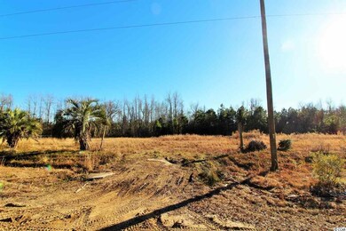 TBD W Highway 78, Conway, SC 29527 - photo 3