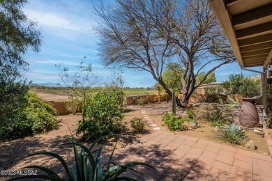 Backyard 2