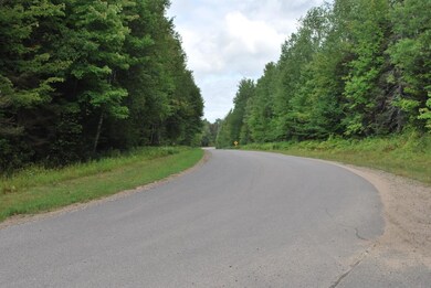 ON Cth P unit 37.90 Ac., Argonne, WI 54511 - photo 4