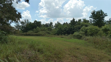 View of local wilderness