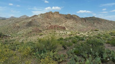 20150523_145006_resized_1