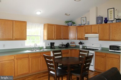 8447 Old Stillhouse Rd, Rixeyville, VA 22737 - photo 7