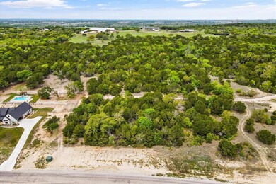 1138 Eagles Bluff Dr, Weatherford, TX 76087 - photo 5