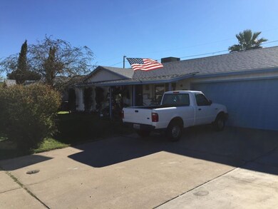 Image-1