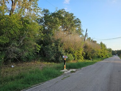 4351 County Road 945, Brazoria, TX 77422 - photo 3