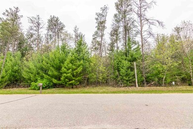 L20 W 11th Dr, Preston, WI 53934 - photo 2