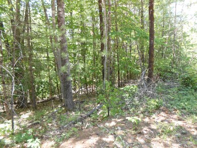 0 Granite Rd unit 4760871, Effingham, NH 03882 - photo 7