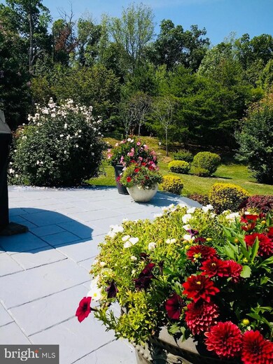 5968 Piney Grove Way, Gainesville, VA 20155 - photo 6