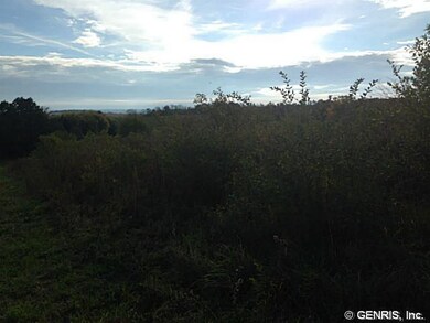 Land/Lot. Terrain and land condition is primarily 