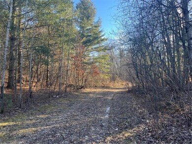 1551 120th Ave, Amery, WI 54001 - photo 3