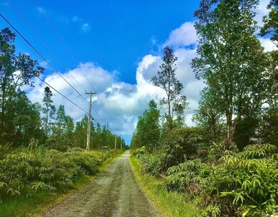 0 Omeka Rd unit 669638, Volcano, HI 96785 - photo 5