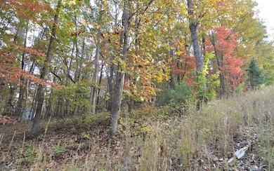 Lot 1 Serenity Dr, Blairsville, GA 30512 - photo 4