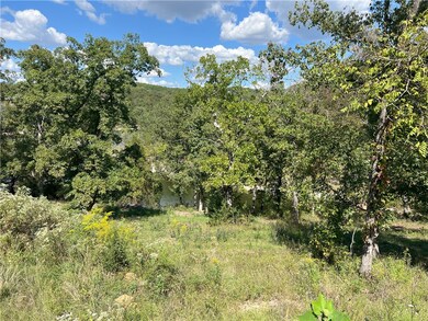 13677 Ledge Rock Ln unit Lot 10, Omaha, AR 72662 - photo 2