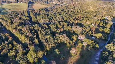 0 NW 100th Avenue Rd, Reddick, FL 32686 - photo 2