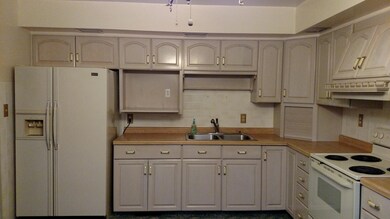 Updated Modern Kitchen
