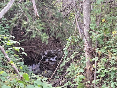 00 & 000 Wolverine Way, Whitethorn, CA 95589 - photo 7